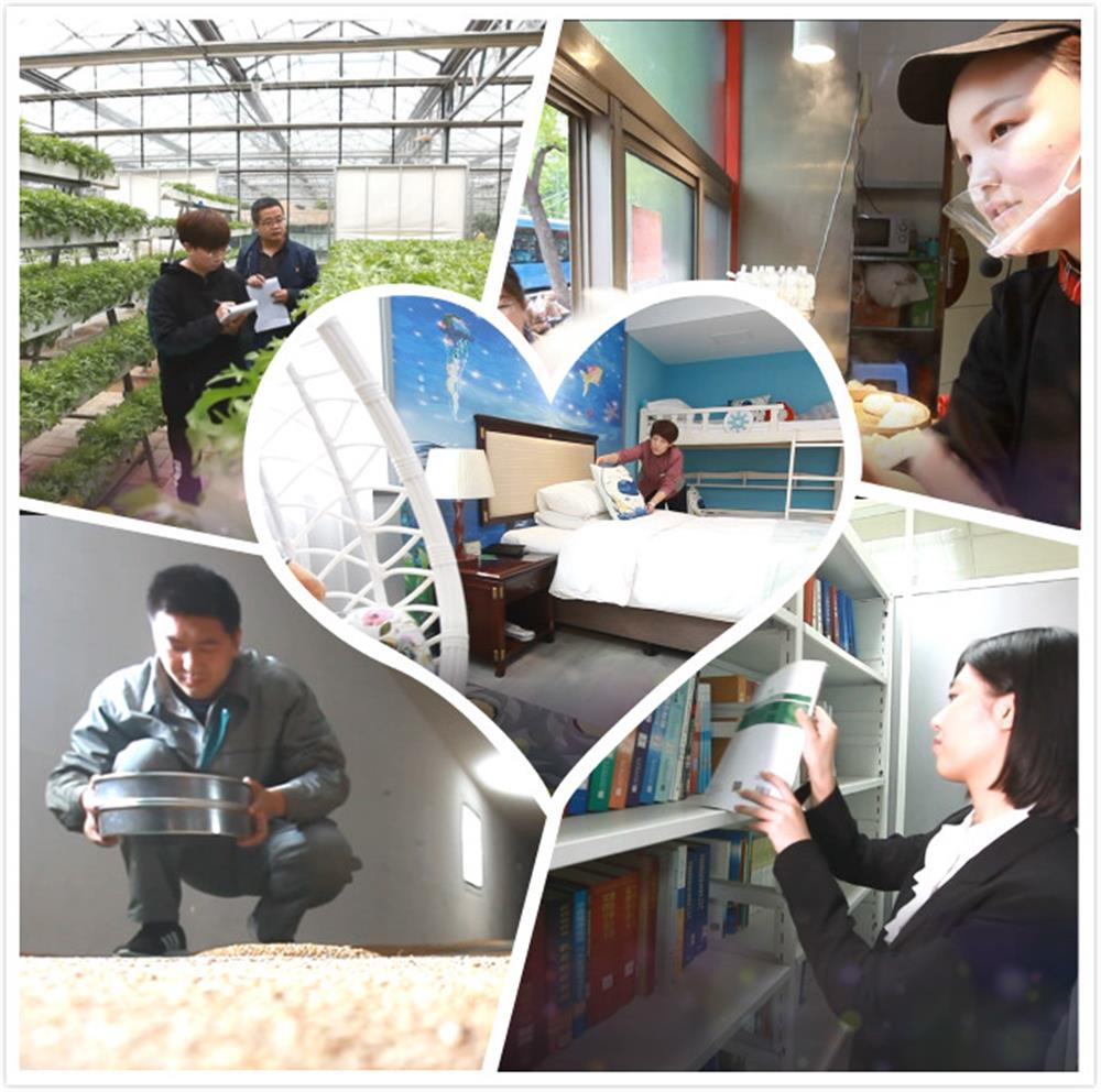 “见证都会变更  助力团体成长”